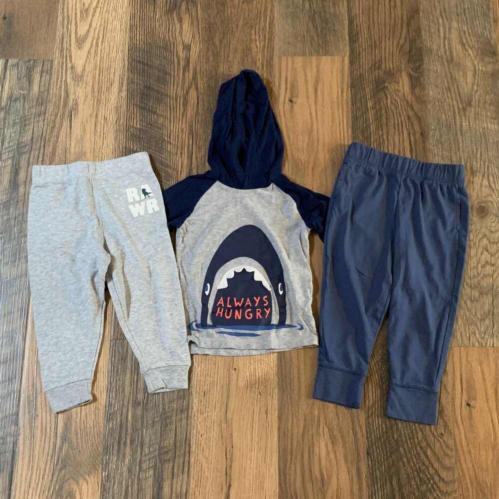 3-pc Boys size 2T Garanimals Gray Pants & Blue Pants w/Carter's Hooded Shirt